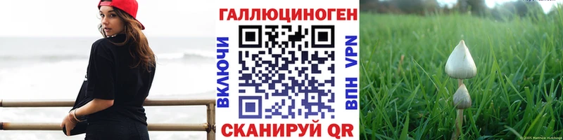 Галлюциногенные грибы Magic Shrooms  Купить  Михайлов 